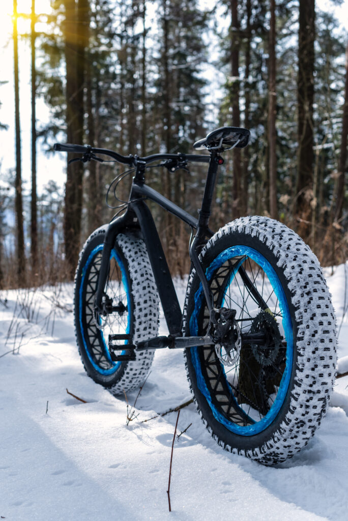 Your New Rugged Fatbike
